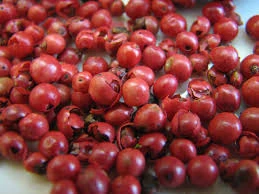 Schinus terebinthifolius Poivre baie rose